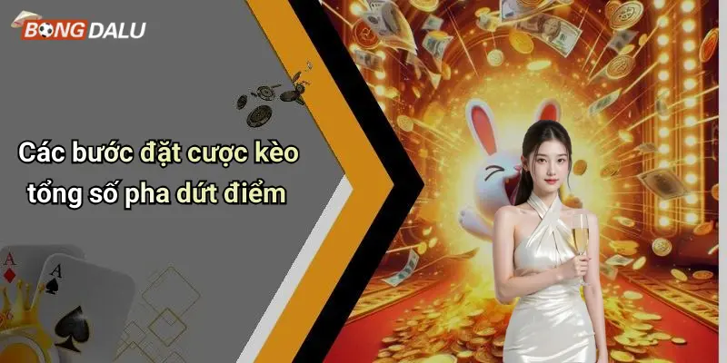 Các bước đặt cược kèo tổng số pha dứt điểm