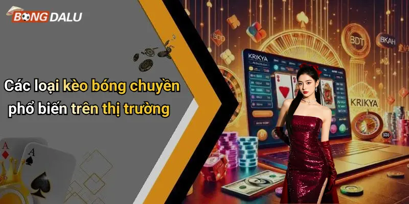 Các loại kèo bóng chuyền phổ biến trên thị trường