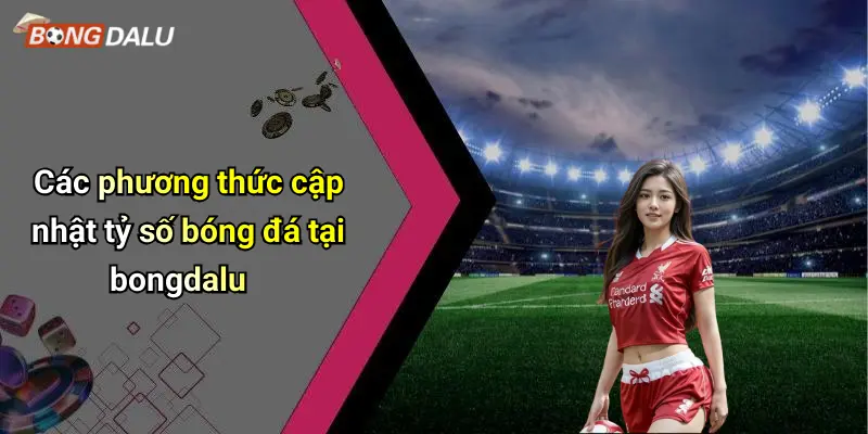 Các phương thức cập nhật tỷ số bóng đá tại bongdalu