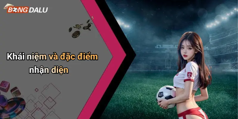 Khái niệm và đặc điểm nhận diện