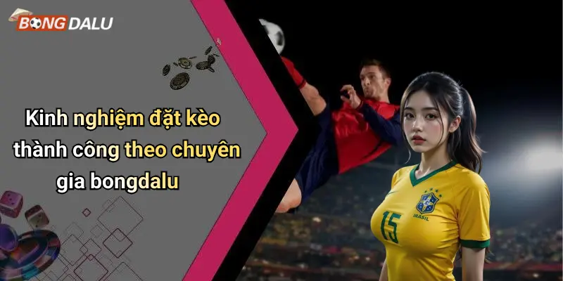 Kinh nghiệm đặt kèo thành công theo chuyên gia bongdalu