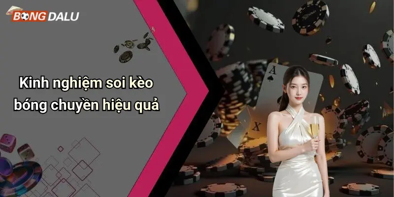 Kinh nghiệm soi kèo bóng chuyền hiệu quả