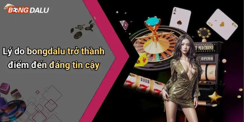 Lý do bongdalu trở thành điểm đến đáng tin cậy