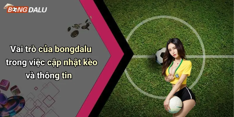 Vai trò của bongdalu trong việc cập nhật kèo và thông tin
