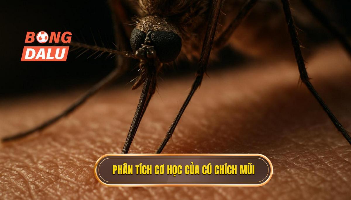 Phân tích Cơ học và Mục đích của Cú Chích Mũi