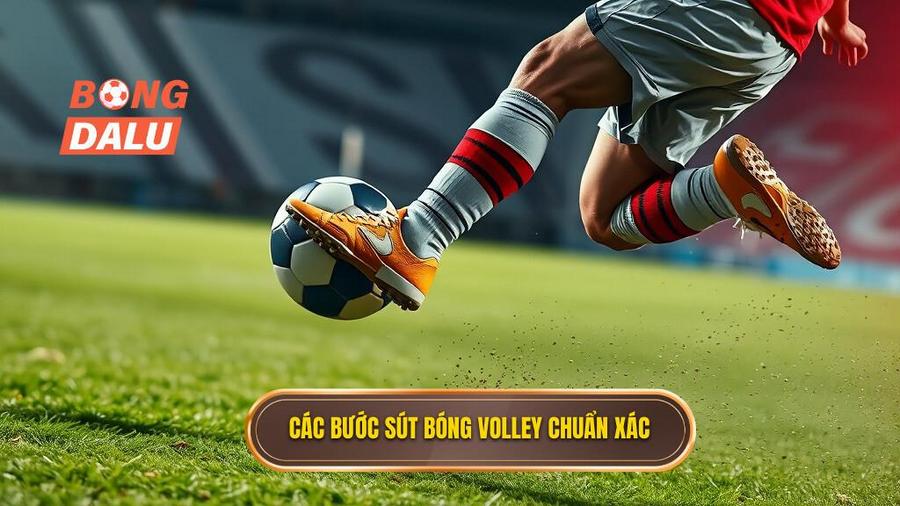 Các bước thực hiện kỹ thuật sút bóng volley chuẩn xác