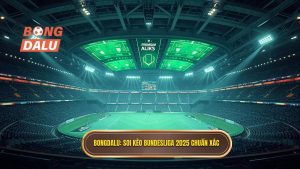 Soi Kèo Các Trận Đấu Bundesliga 2025: Nhận Định Chuyên Sâu